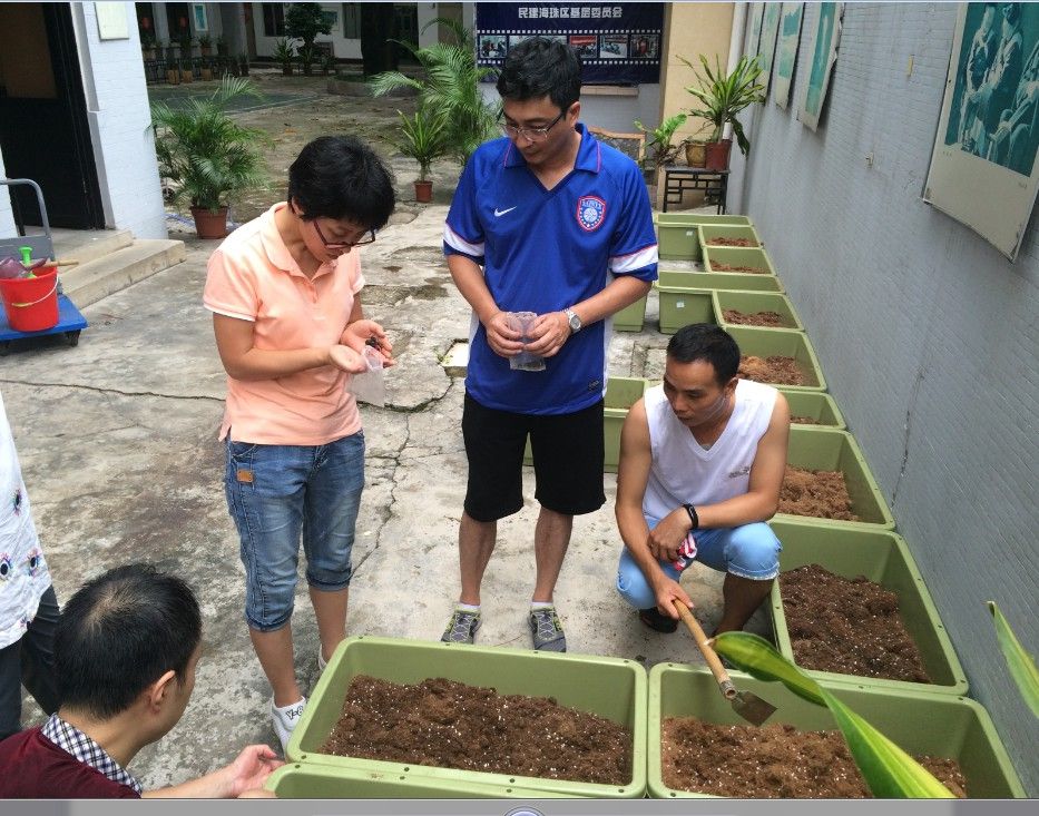 海珠基层委开展同心菜园种植活动 海珠基层委开展同心菜园种植活动