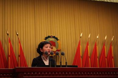 2017省“两会”，吴静代表省委会作大会发言